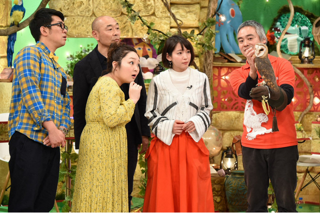 チーター VS 元プロ野球選手のベースランニング対決ほか『どうぶつ奇想天外!』特番本日放送! 画像