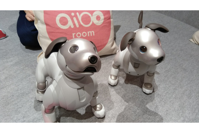 「ロボットペットはアリなのか?」たしかに犬っぽいAIBOに感心 画像