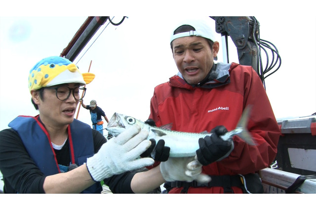 謎すぎるさかなクンのプライベート!3日密着で魚と暮らす自宅にも 画像