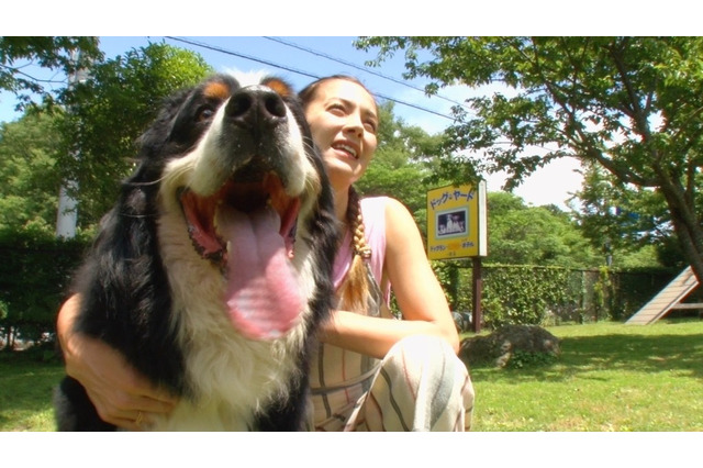 飼い主にそっくり？長嶋一茂、大久保佳代子、土屋アンナが愛犬と3人3匹の珍道中 画像