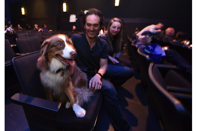 愛犬と映画館で映画鑑賞!ワンコ達も笑顔のイベントが米国で実現 画像