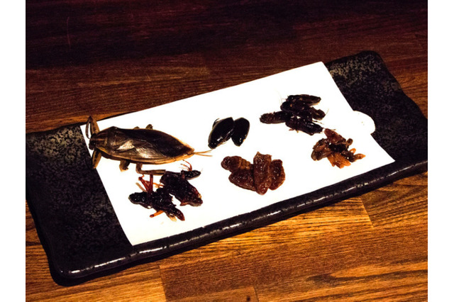 ジビエ居酒屋で昆虫食フェア開催！コオロギなどを和食・デザートとして提供 画像