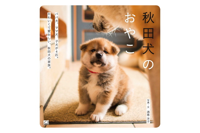 むくむくもふもふ......秋田犬親子の成長が一冊の写真集に！ 画像