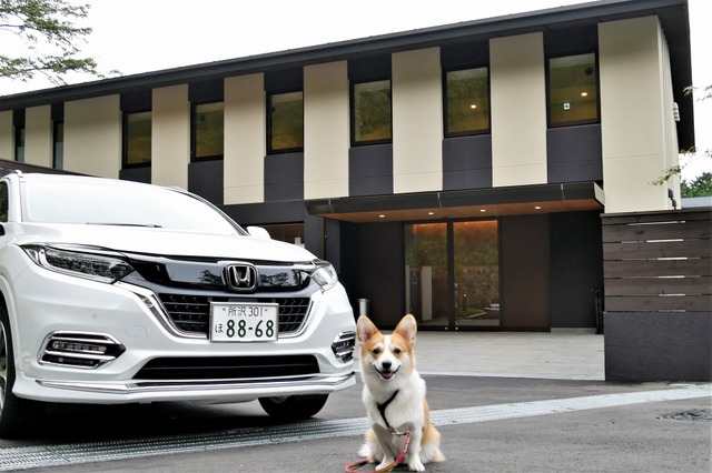 【ワンコとお出かけ Vol.24】愛犬と泊まれる！「レジーナリゾート箱根仙石原」宿泊レポート（前編） 画像