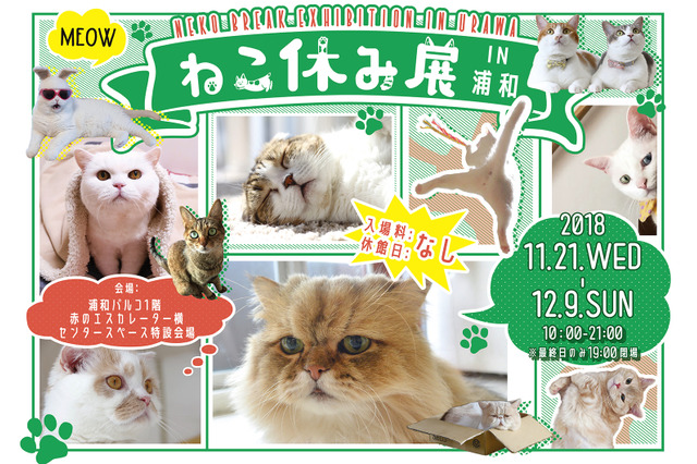 「ねこ休み展」が浦和初上陸!願いが書き込める巨大絵馬も登場 画像