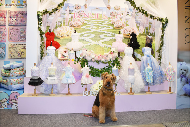 【Interpets（インターペット） 2019 Vol.8】個性豊かなペットウェアブランドを展開……ハヤブサ 画像
