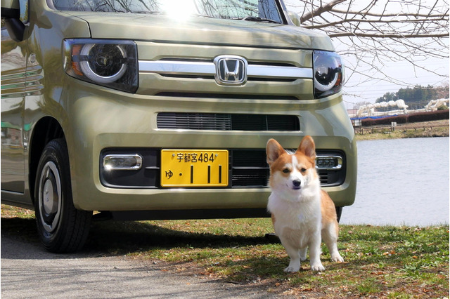 【ワンコとお出かけ Vol.36】ホンダN-VAN +STYLE FUNが我が家にやってきた 画像