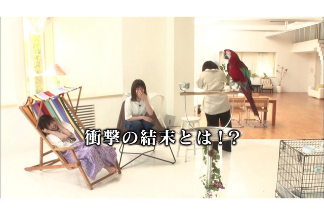 日向坂46 2ndシングル、特典映像『はじめて○○してみた』解禁 画像