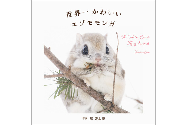 エゾモモンガの魅力をたっぷり収めた写真集『世界一かわいいエゾモモンガ』発売 画像