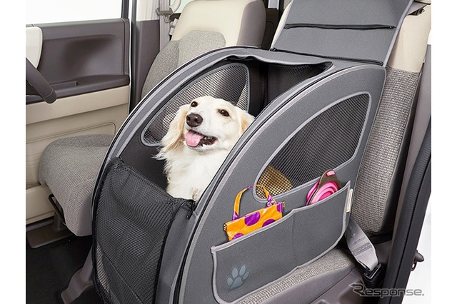 ホンダ、愛犬用アクセサリー装着車両のカーシェアサービス開始 画像