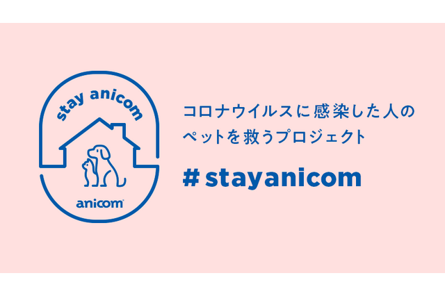 飼い主が新型コロナ感染......ペットを無償で預かるプロジェクトスタート 画像
