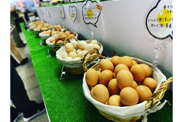 日本たまごかけごはん研究所プロデュース「幻の卵屋さん」が東京タワーに期間限定出店 画像