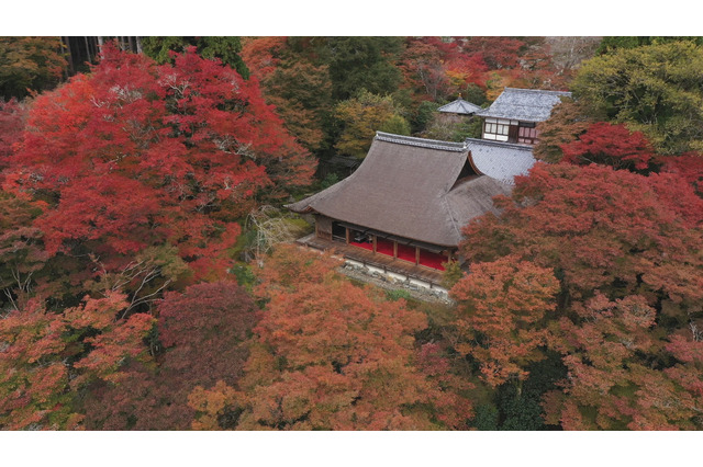 TBS『世界遺産』放送25周年は“京都空撮”SP!天龍寺や龍安寺の石庭・方丈庭園をテレビ初のドローン撮影 画像