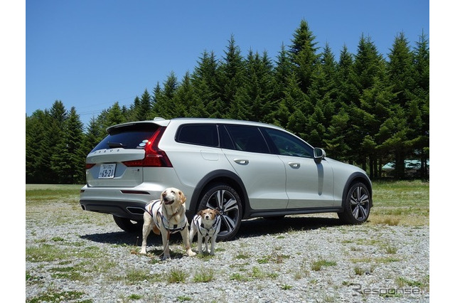 【青山尚暉のわんダフルカーライフ】愛犬とのドライブ旅行で気になる害虫対策 画像