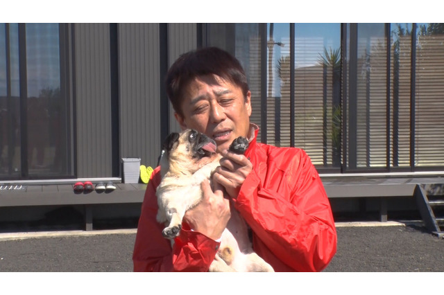 犬14匹&猫4匹の大家族「坂上家」、番組未公開シーンを含む自宅映像公開 画像