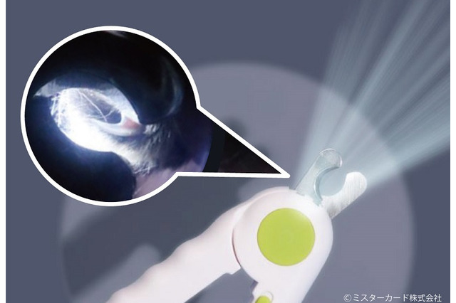 先端にLED搭載した犬猫用爪切り登場！血管が透けてペットの爪切りが簡単に 画像