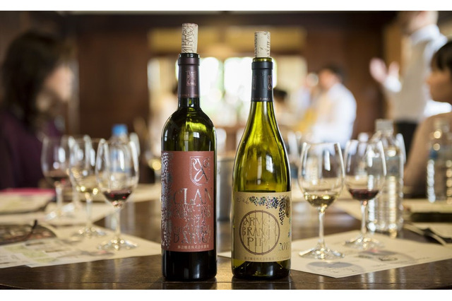 山梨を存分に楽しむ！ワインとグランピング、宿泊に露天風呂も楽しめる贅沢ツアー開催 画像