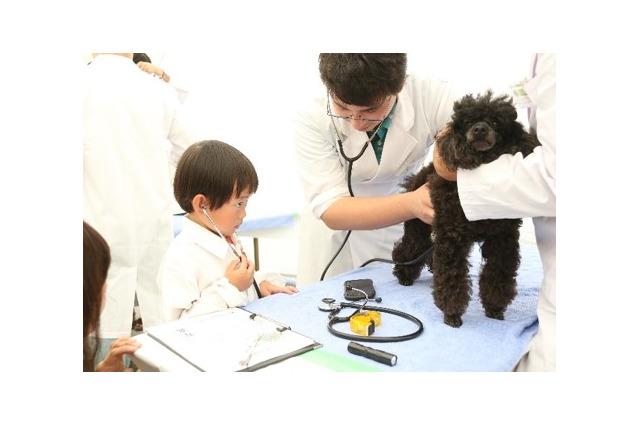 動物と触れ合える「2022動物感謝デー in JAPAN “World Veterinary Day”」開催 画像