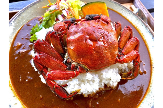 伊豆名物・ズガニグルメが今年も！出汁の効いた2種の濃厚カレーメニュー登場 画像
