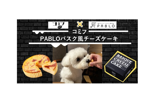 愛犬と味わう、コミフ× PABLOのコラボチーズケーキ登場 画像