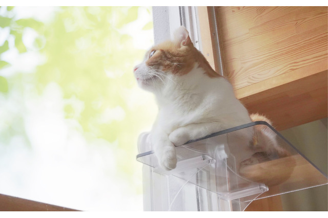 簡単自由に付け外しできるキャットステップが発売に！ 画像