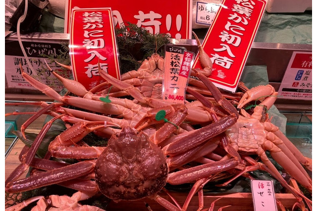 阪神梅田本店で「松葉ガニ」販売スタート！7日は「理由ありガニ」が格安で登場 画像
