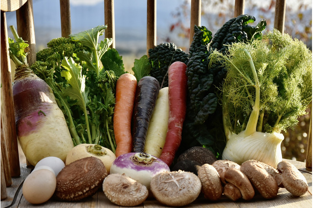 新たな地産地消の拠点に！大分に逸品揃うオーガニックグローサリーストアslow food_YAMAGAがオープン 画像