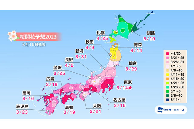 京都・嵐山の桜満開は31日！各地の満開予想は？ 画像