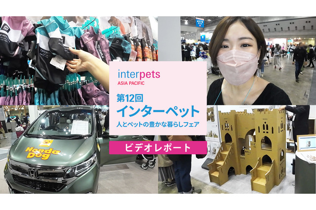 【インターペット2023】愛犬連れた来場者で会場は大にぎわい！注目のブースを速攻チェック 画像
