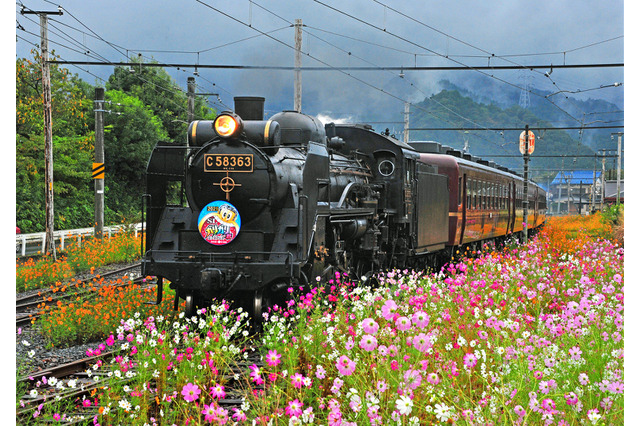 ガリガリ君と秩父鉄道が10回目コラボイベント開催！SL運行やアイスバープレゼントなど 画像