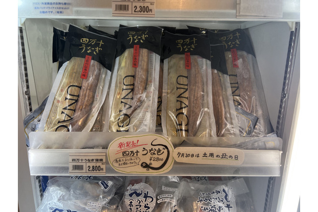 銀座の高知県アンテナショップ、「四万十うなぎ」を4年ぶりに販売 画像
