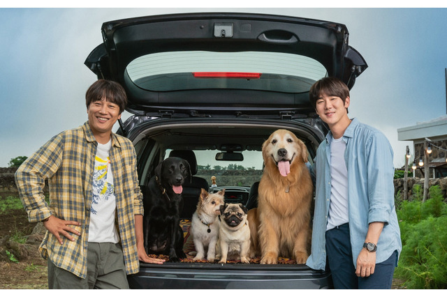 ユ・ヨンソク＆チャ・テヒョンが15年ぶり共演！犬と人間の絆を描いた『マイ・ハート・パピー』ティザービジュアル公開 画像