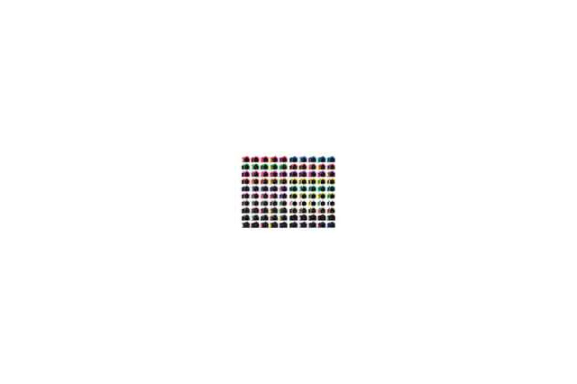 デジタル一眼が全100色のカラバリから選べる！ 画像