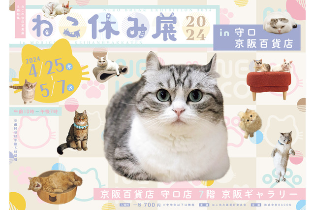 守口市初上陸！「ねこ休み展」が京阪百貨店 守口店で開催 画像
