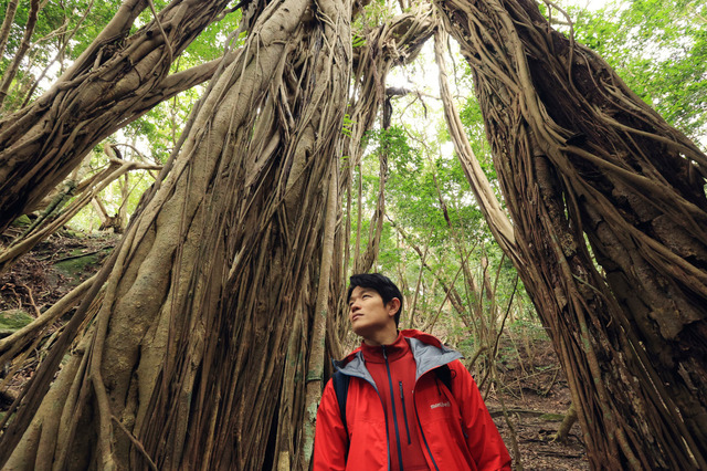 TBS『世界遺産』がリニューアル!世界遺産好きで知られる鈴木亮平、番組初の案内役に挑戦 画像