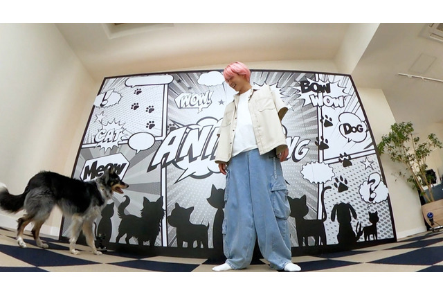 Snow Man大ファンのワンコ登場!佐久間大介が目の前に現れたら?! 画像