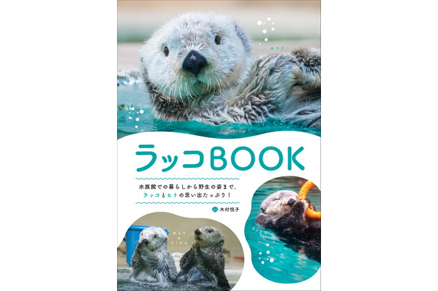 発売前からAmazon人気度ランキング1位に！ ラッコの“すべて”がわかる『ラッコBOOK』7月発売 画像