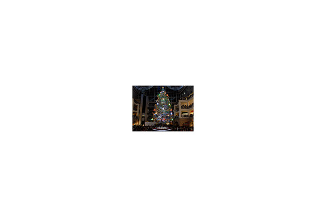 街はクリスマス気分へ！札幌ファクトリー、巨大ツリー点灯式や関連動画も公開に 画像