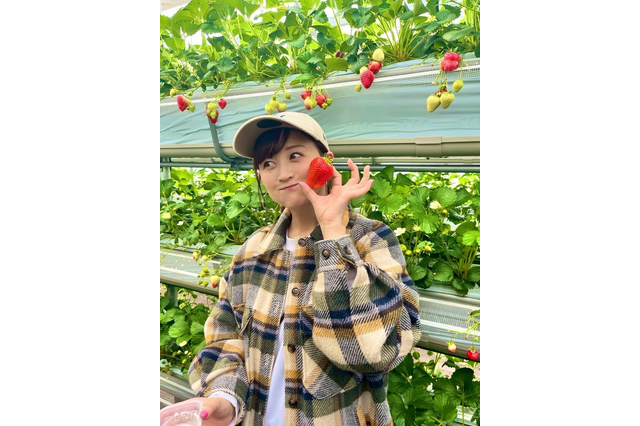 小松彩夏、いちご狩り＆いちごスイーツ堪能！「甘くて新鮮な苺をお腹いっぱいいただきました」 画像