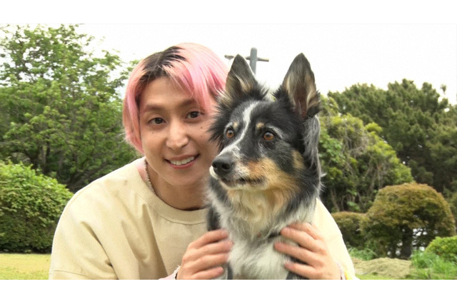 佐久間大介への愛情を検証! Snow Man大好き犬は“本物”を見抜けるか…『アニマリング』今夜放送 画像