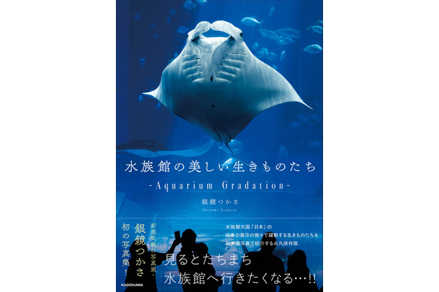 90種類以上の“生きものたち”を収録!「水族館の美しい生きものたち」写真集が好評発売中 画像