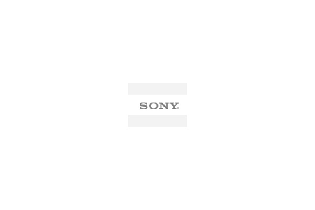 米Sony、SDカード参入を発表 画像