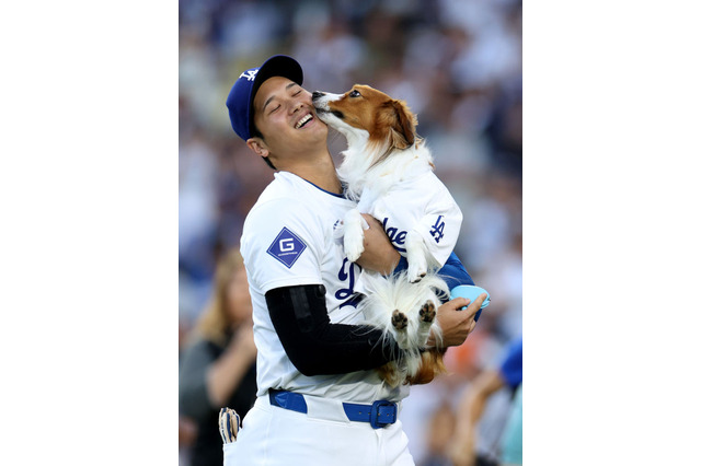 大谷翔平の愛犬・デコピンが絵本に！2026年2月販売 画像