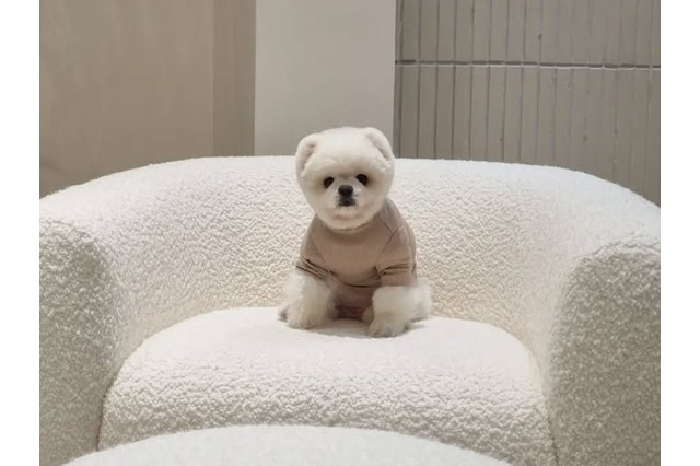 韓国の“SNSスター”が1年前にこの世を去っていた…空港の名誉広報大使務め、人気歌手のMVにも出演 画像