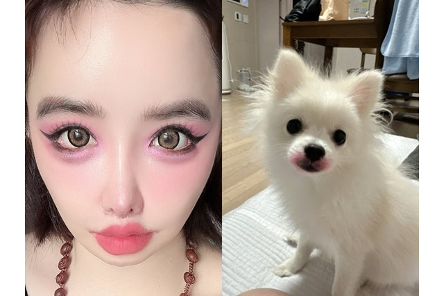 犬に“口紅”塗りたくり炎上　「64272e兆億ウォン」告訴に続いて韓国アイドルがまたしても奇行 画像