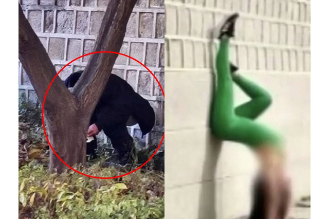 「最低限の礼儀守れ」ついに“排便”する姿まで　韓国の文化遺産一帯で外国人観光客の迷惑行為、大学教授が怒り 画像