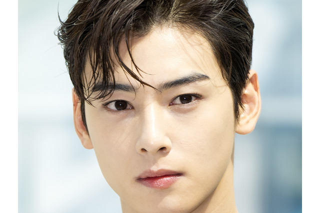 20億円超の追徴金…巨額脱税が囁かれるチャ・ウヌ、休暇後に軍復帰済み　未だ本人からの説明なし 画像