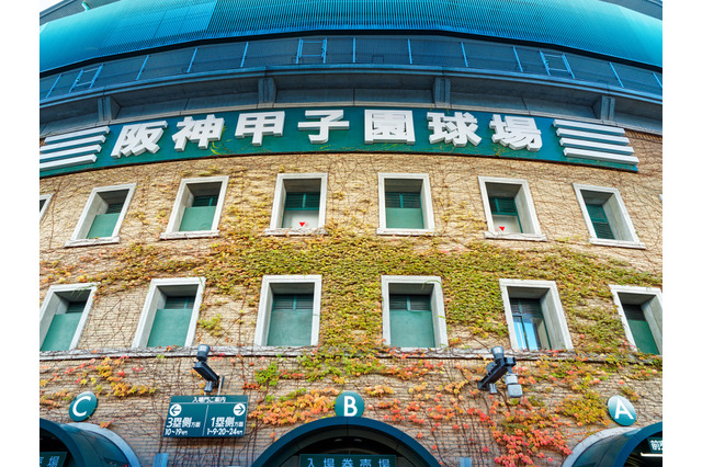 春のセンバツ甲子園2026、出場校32校が決定！初出場は帝京長岡・高知農 画像