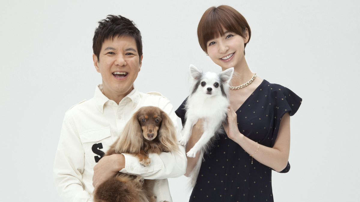 篠田麻里子 ペット番組でmcに初挑戦 Rbb Today