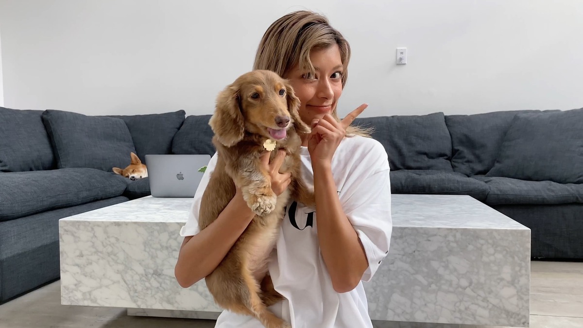 ローラもロスの自宅から参加 愛犬と一緒にできるチャレンジ企画 Rbb Today